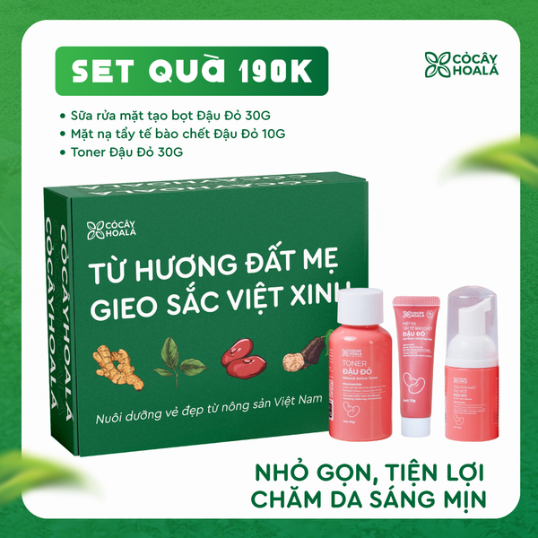 SET QUÀ 190K Set 4: Combo dưỡng da (Sữa rửa mặt Mặt nạ tẩy TBC Toner Đậu đỏ)