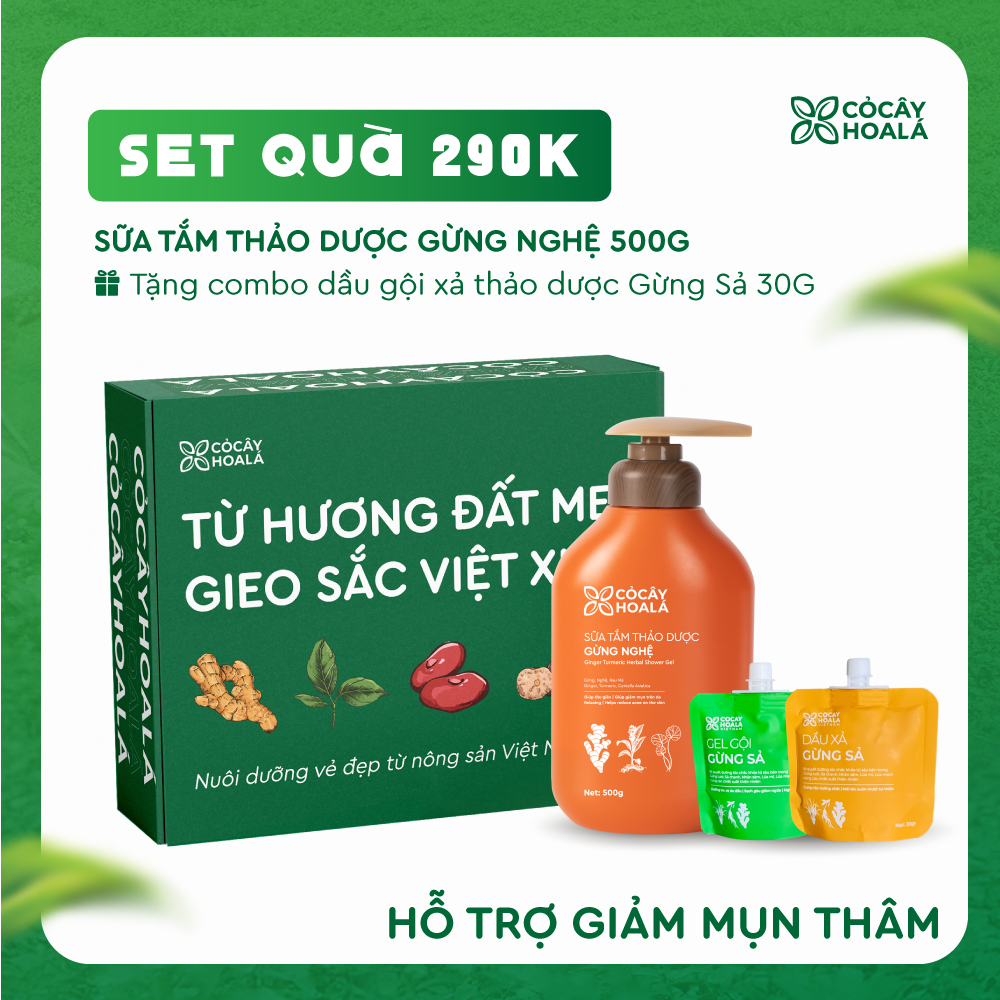 [SET 20/11] Set 2: Sữa tắm Thảo Dược Gừng Nghệ Cỏ Cây Hoa Lá - Tặng cặp Gội Xả Gừng Sả 30g