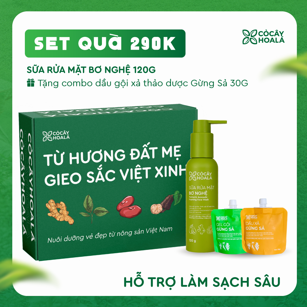 [SET QUÀ 290K] Set 6: Sữa rửa mặt Bơ Nghệ - Tặng cặp Gội Xả Gừng Sả 30g