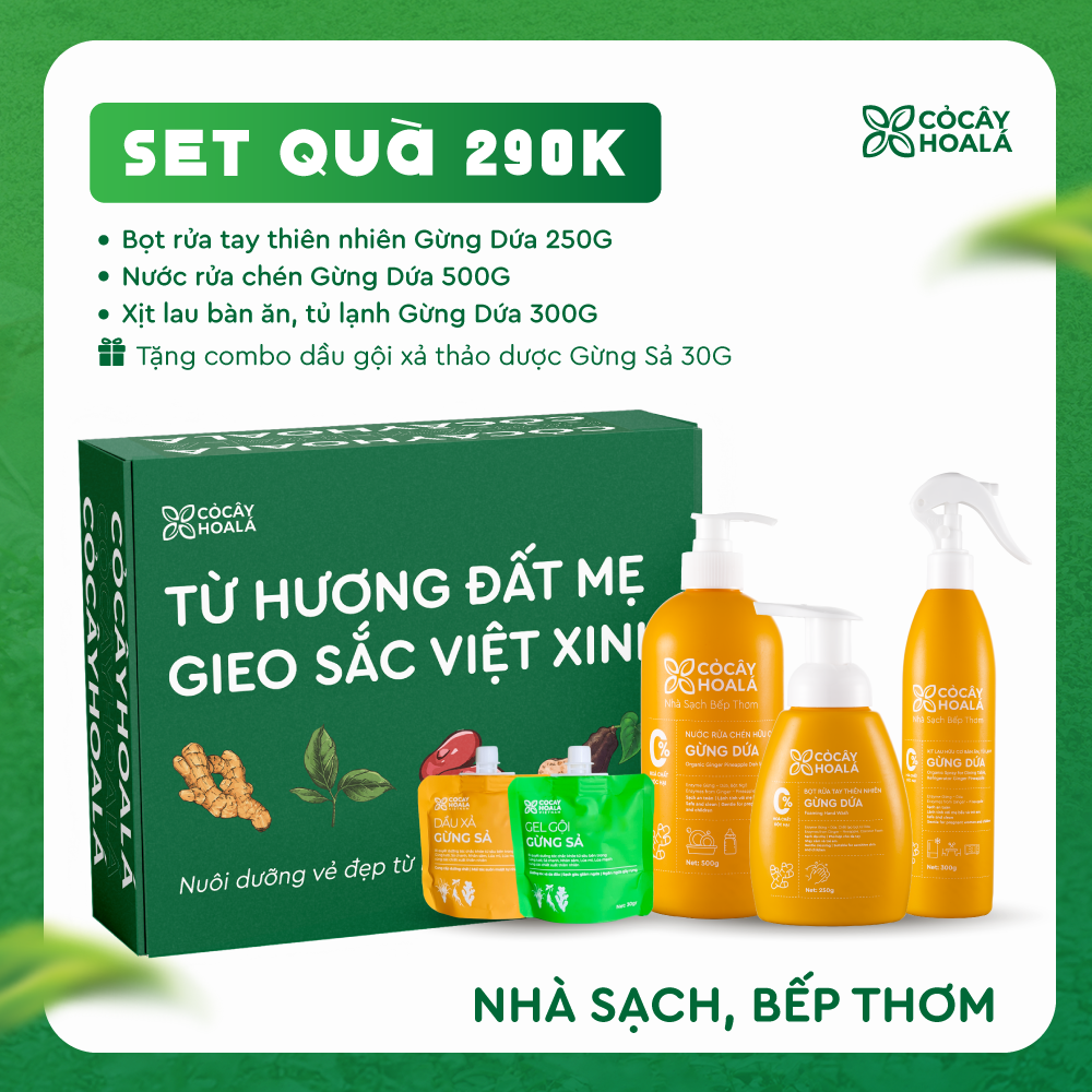 [SET QUÀ 290K] Set 7: Combo homecare Gừng Dứa - Tặng cặp Gội Xả Gừng Sả 30g