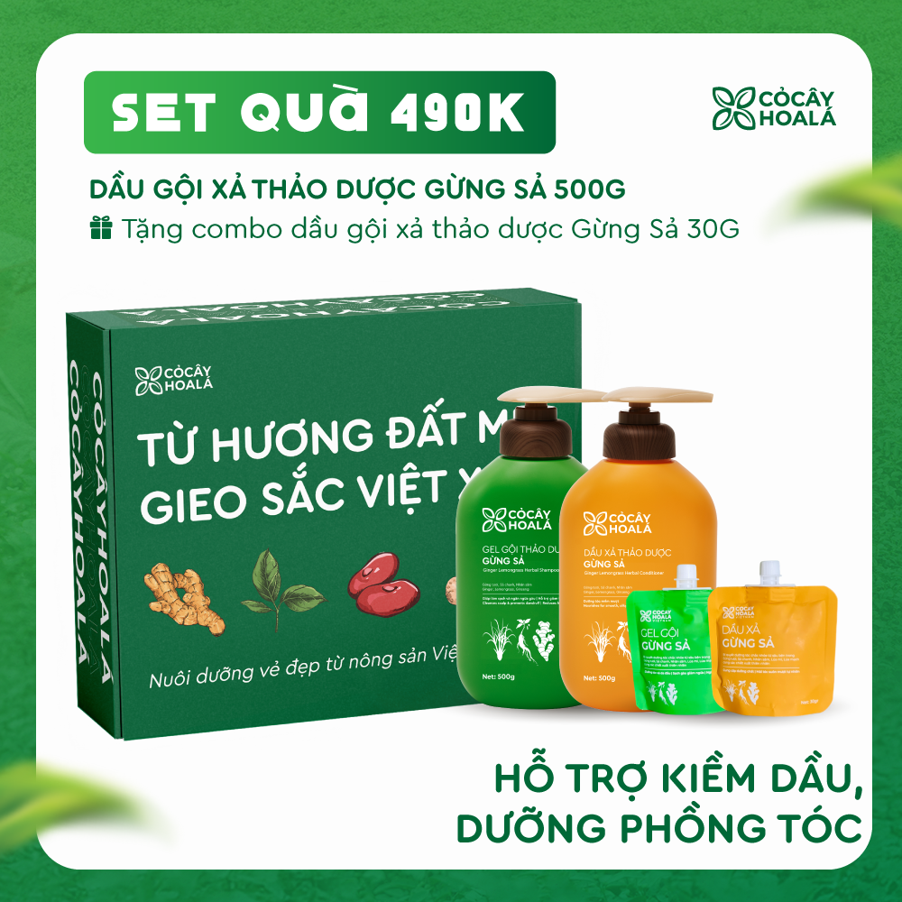 [SET 20/11] Set 1: Combo Gừng Sả - Tặng cặp Gội Xả Gừng Sả 30g