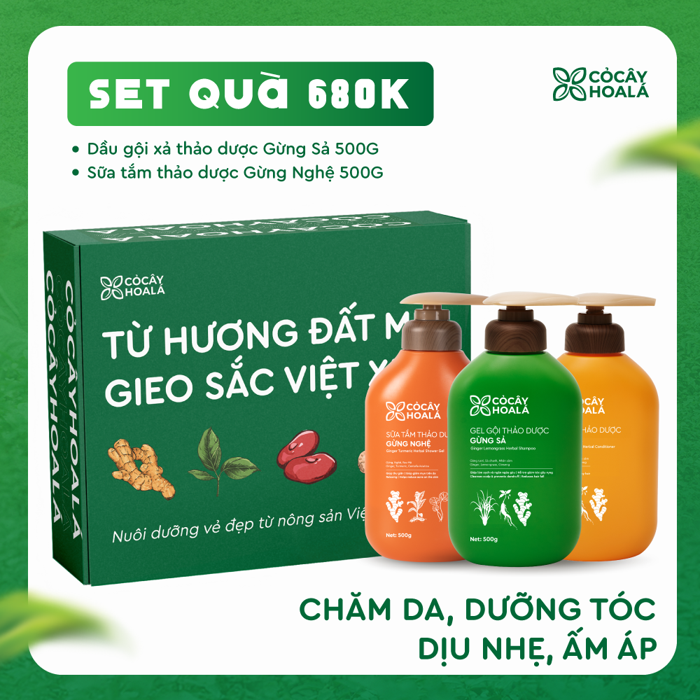 [SET 20/11] Set 2: Combo Gội xả Gừng Sả + Sữa tắm Gừng Nghệ