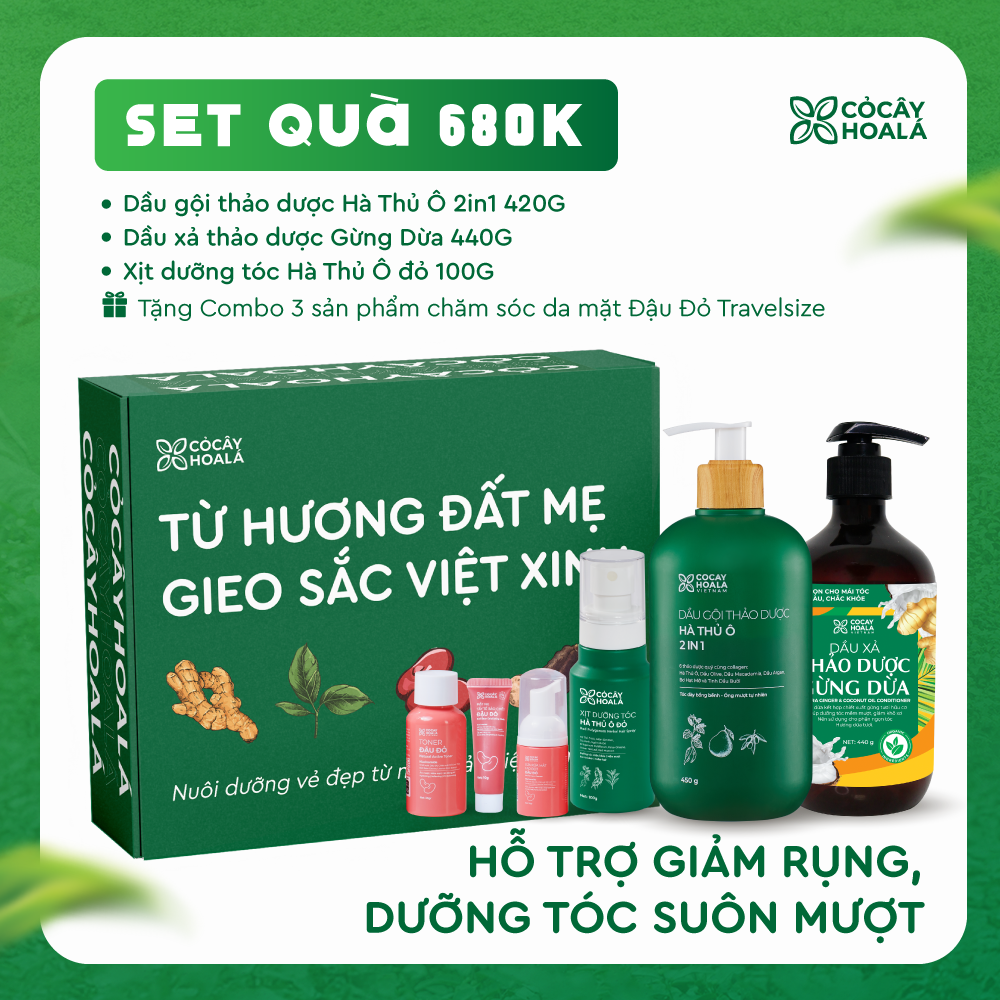 [SET 20/11] Set 3: Combo Dầu gội Hà Thủ Ô 2in1 + Xịt Hà Thủ Ô đỏ + Dầu xả Gừng Dừa 440g - Tặng Set mini Đậu Đỏ (Tẩy da chết + Sữa rửa mặt + Toner)