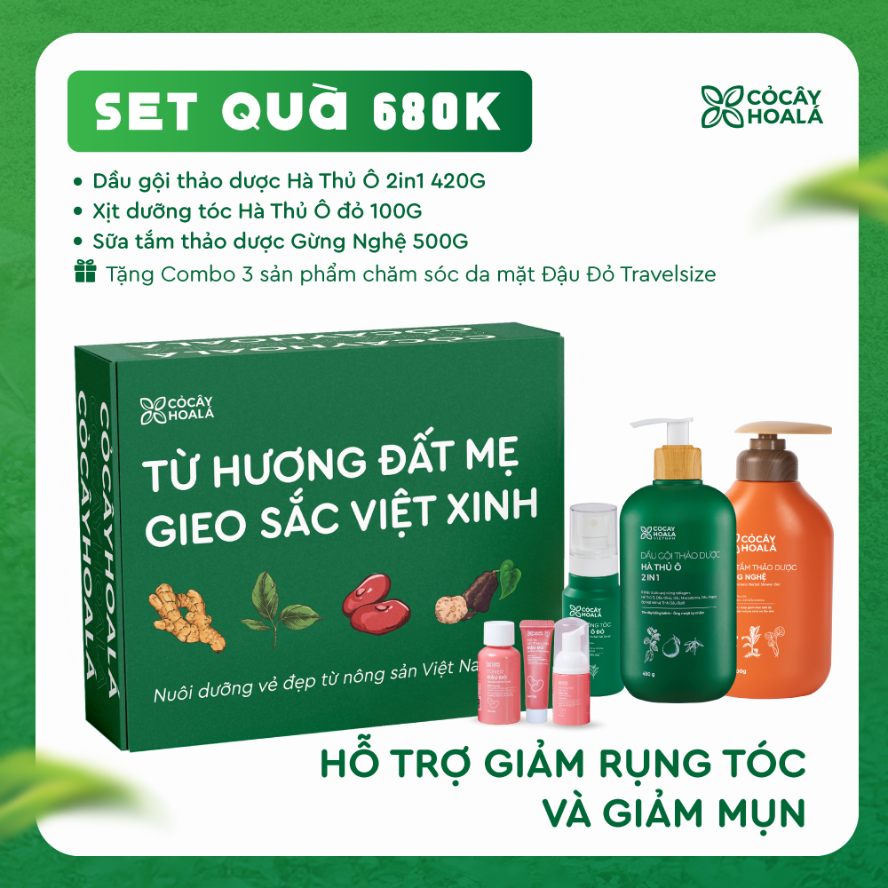 [SET 20/11] Set 4: Combo HàThủ Ô (gội + xịt) + Sữa tắm Gừng Nghệ - Tặng Set mini Đậu Đỏ (Tẩy da chết + Sữa rửa mặt + Toner)