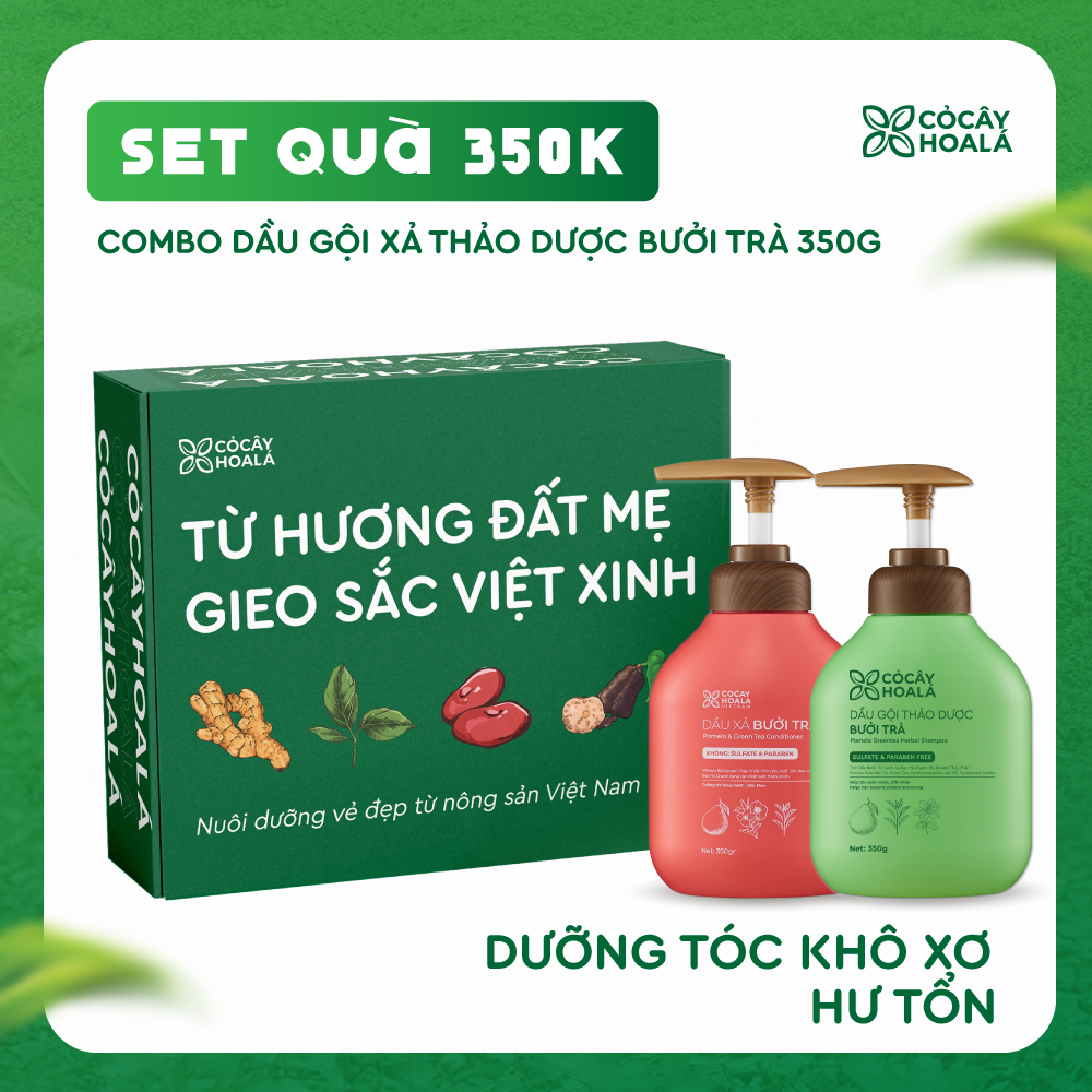 [SET 20/11] Set 1: Combo Gội xả Bưởi Trà 350g