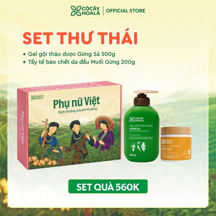 [SET 13] SET THƯ THÁI