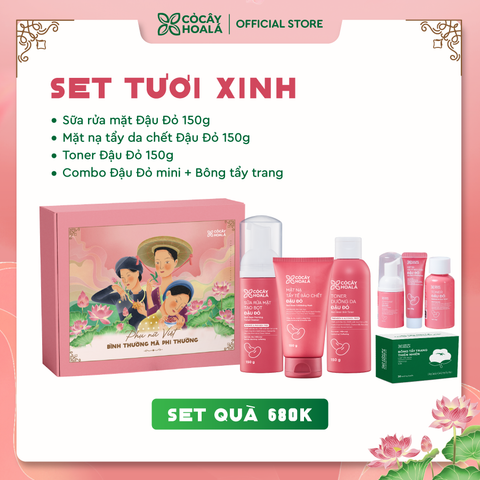 [SET 8] Set Quà Tươi Xinh Cỏ Cây Hoa Lá 