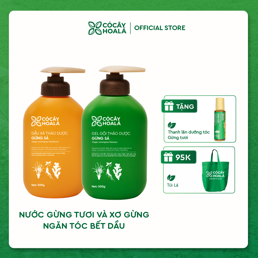 Combo Dầu Gội Xả Thảo Dược Gừng Sả Cỏ Cây Hoa Lá 500g