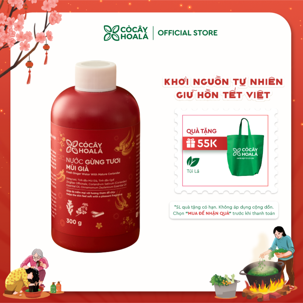 Nước gừng tươi mùi già Cỏ Cây Hoa Lá 300g - Hương Tết Việt, ấm lành từ thảo mộc