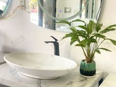 Chậu rửa dương bàn Bs-2610