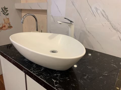 Chậu rửa dương bàn Bs-260m