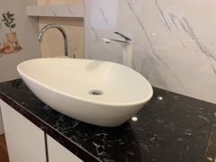 Chậu rửa dương bàn Bs-260m