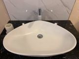 Chậu rửa dương bàn Bs-260m