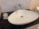 Chậu rửa dương bàn Bs-260m