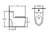 Bồn cầu liền khối Tkm-116
