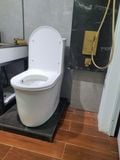 Bàn cầu liền khối Tkm-137f
