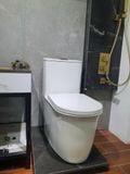Bàn cầu liền khối Tkm-137f