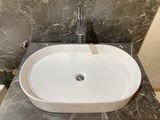 Chậu rửa dương bàn Bs-231-f