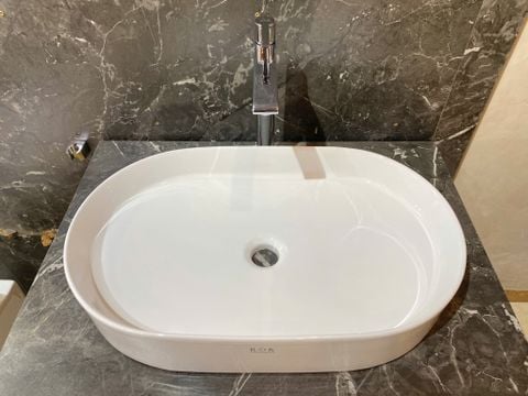 Chậu rửa dương bàn Bs-231-f