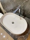 Chậu rửa dương bàn Bs-231-f