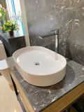 Chậu rửa dương bàn Bs-231-f