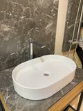 Chậu rửa dương bàn Bs-231-f