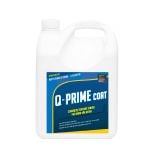  Q PRIME COAT Phủ bóng sàn bê tông 