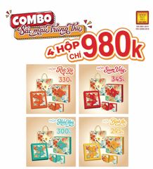 COMBO 04 HỘP
