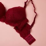 Áo lót Nữ cúp ngực đệm vừa Cecina CBR00608