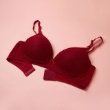 Áo lót nữ Cecina cúp ngực đệm vừa CBR023