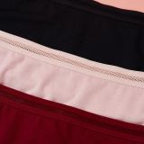 [MUA 1 TẶNG 1] DBO0424 - Mua 01 quần lót CBI00308 tặng 01 quần lót CBI03R