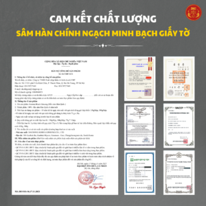 Hắc sâm củ khô Hàn Quốc 300g (11-20 củ) - Daedong