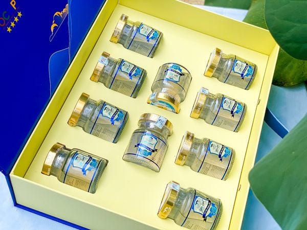 Hộp quai da 10 hũ - 7g Yến/Hũ Chưng Gừng tươi Cho Người Cao Tuổi, Phụ Nữ Mới Sinh