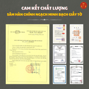 Nước hắc sâm HQ 20ml x 90 gói x 7mg- Daedong