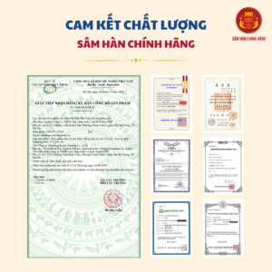 Hồng Sâm Baby 2-5 year (20ml*30 gói)- Daedong