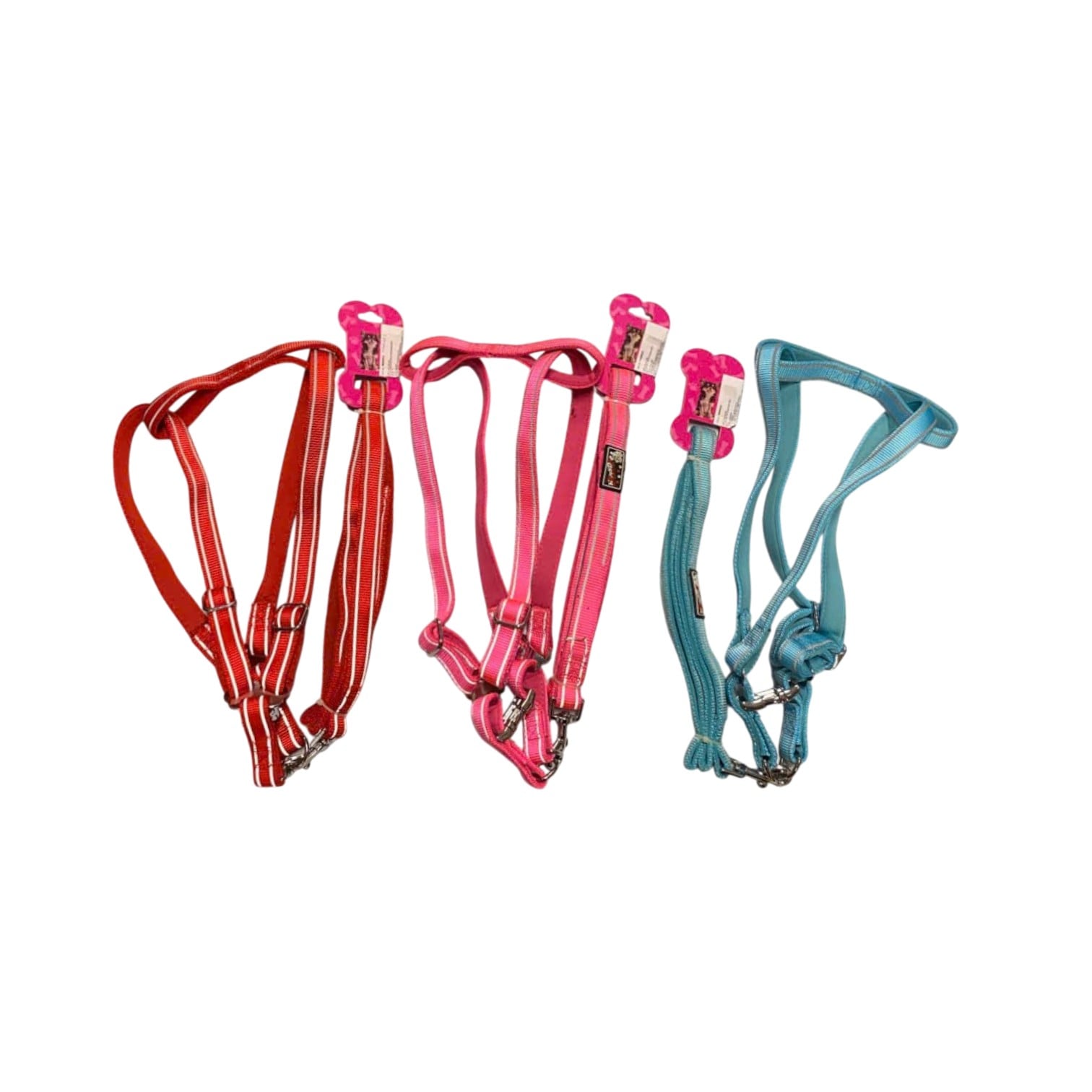 DÂY ĐAI DẮT THÚ CƯNG HX-601 SIZE 2