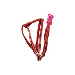 DÂY ĐAI DẮT THÚ CƯNG HX-601 SIZE 2