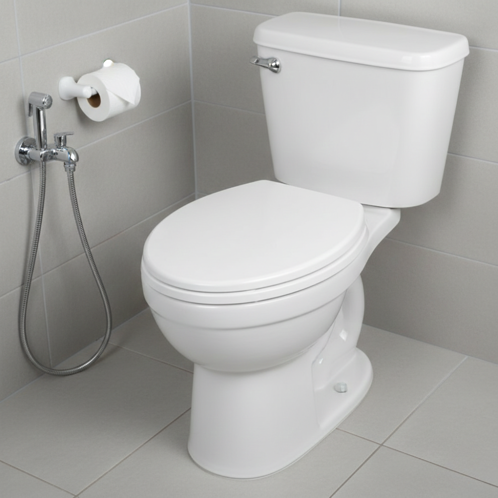 ACE NẮP ĐẬY BỆ NGỒI TOILET BẰNG GỖ ÉP 43.2CM TRẮNG