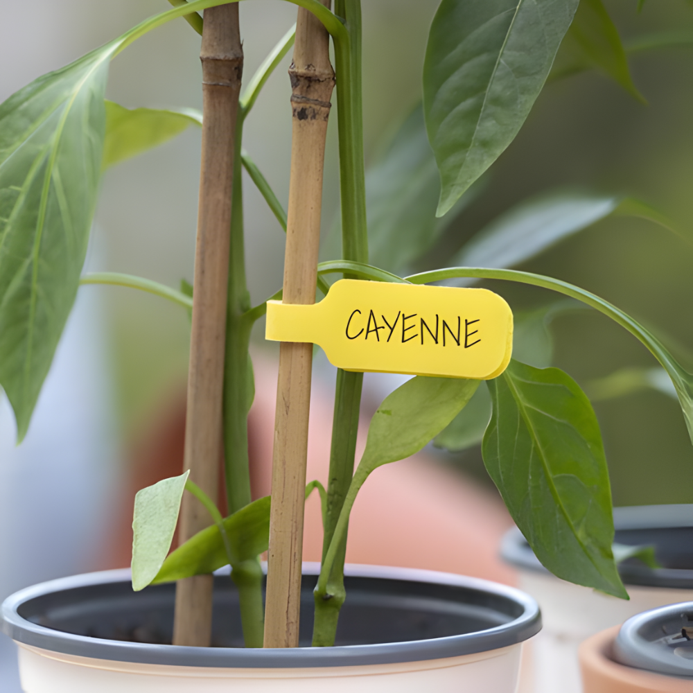 WRAP.IT GÓI 10 NHÃN DÁN PHÂN LOẠI DÂY CÁP 5.7CM