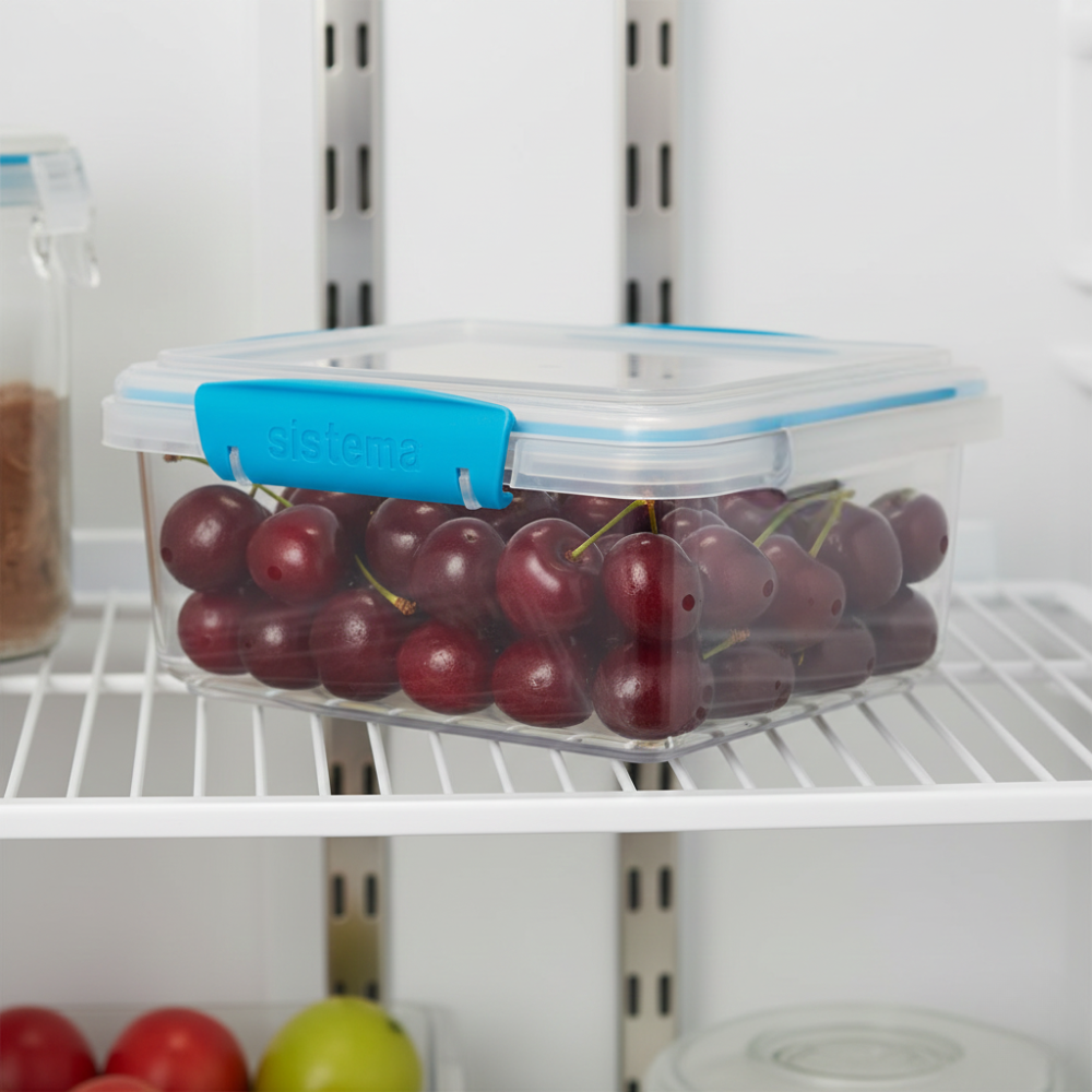 HỘP NHỰA ĐỰNG THỰC PHẨM NẮP CÀI SISTEMA 1L