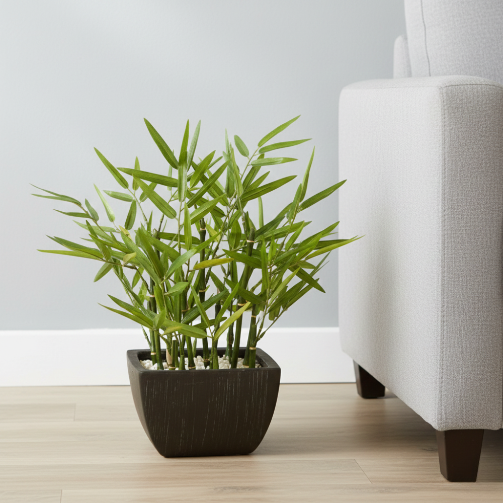 CHẬU TRE TRANG TRÍ H33CM 136751