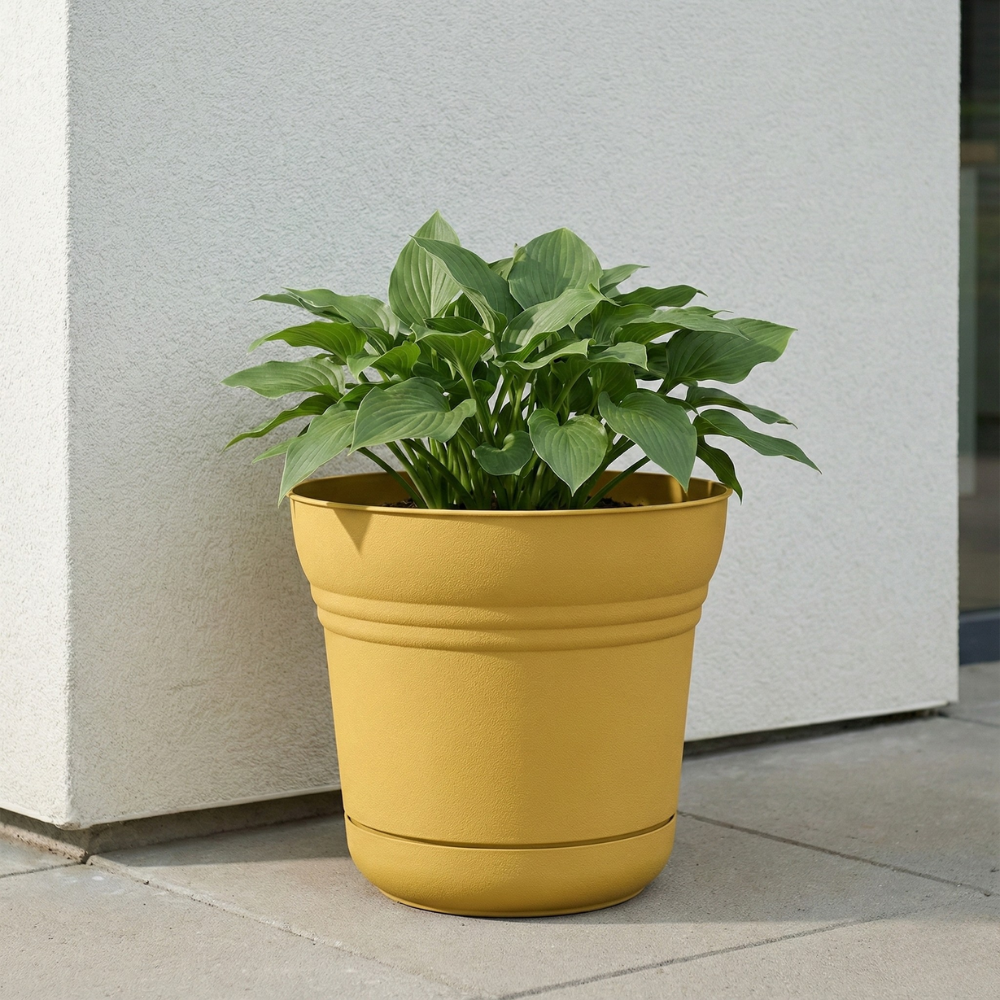BLOEM CHẬU CÂY NHỰA POLYRESIN 25.4CM MÀU VÀNG