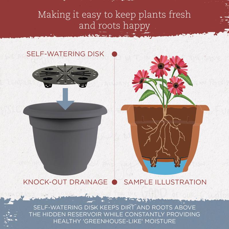 BLOEM ARIANA CHẬU TRỒNG CÂY MÀU XÁM THAN 30.48CM