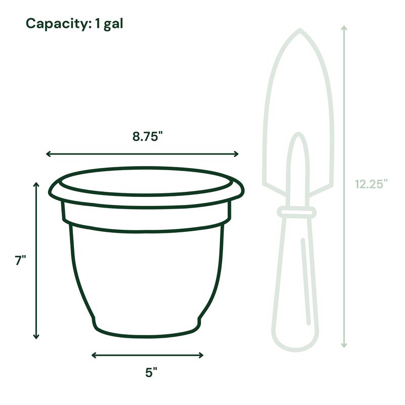 BLOEM ARIANA CHẬU TRỒNG CÂY MÀU XÁM THAN 20.32CM