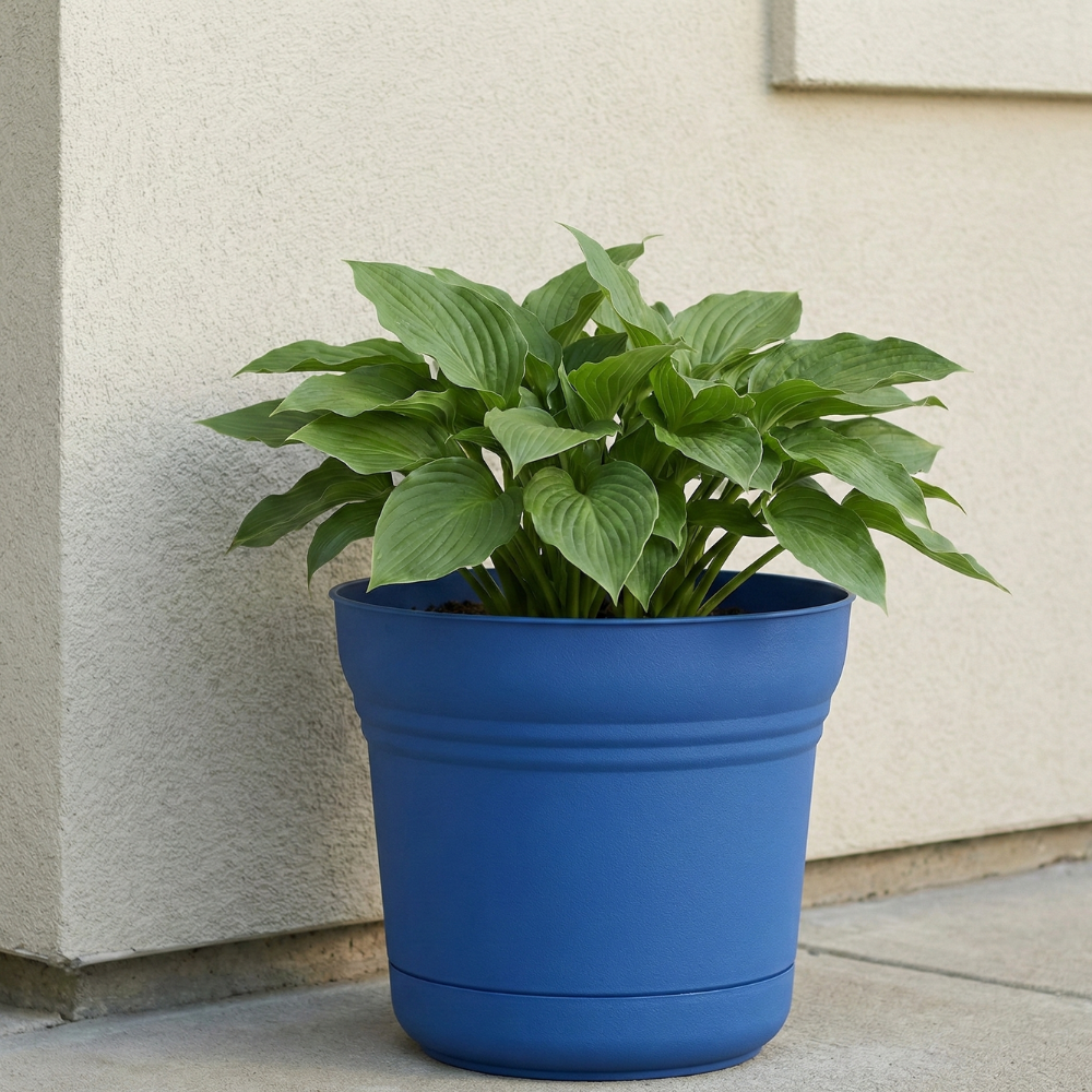 BLOEM CHẬU CÂY NHỰA POLYRESIN 25.4CM XANH DƯƠNG