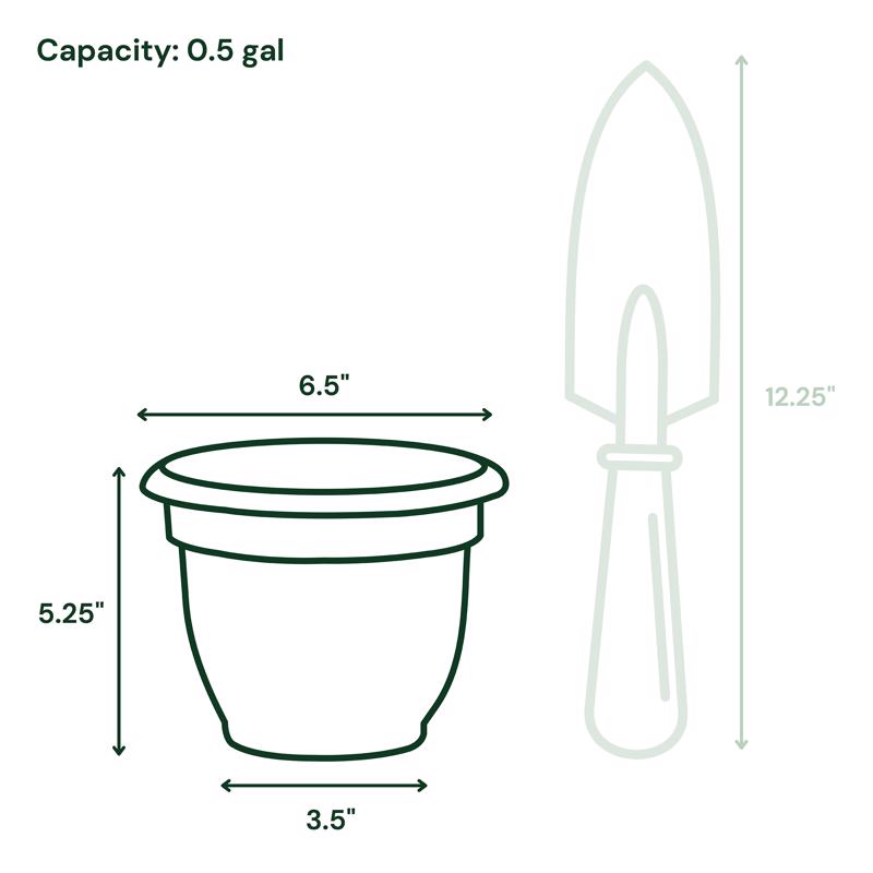 BLOEM ARIANA CHẬU TRỒNG CÂY MÀU XÁM THAN 15.24CM