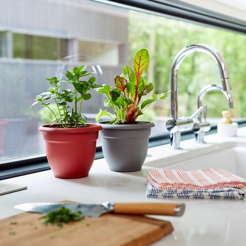 BLOEM ARIANA CHẬU TRỒNG CÂY MÀU XÁM THAN 15.24CM