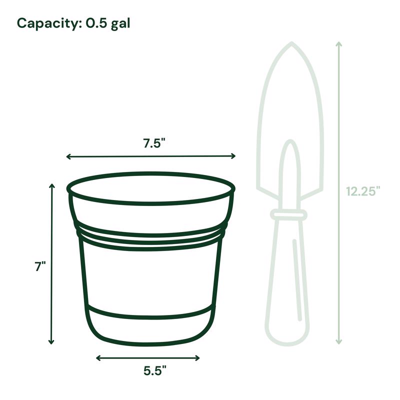 BLOEM SATURN CHẬU TRỒNG CÂY HỒNG TÍM 17.78CM