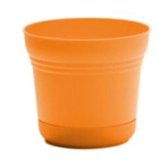 BLOEM SATURN CHẬU TRỒNG CÂY VÀNG XOÀI 17.78CM