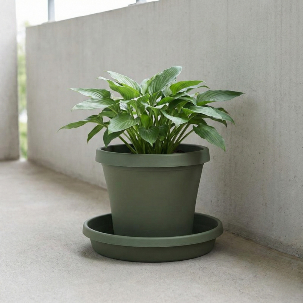 BLOEM ĐĨA LÓT ĐÁY CHẬU NHỰA RESIN XANH LÁ 3.81CM